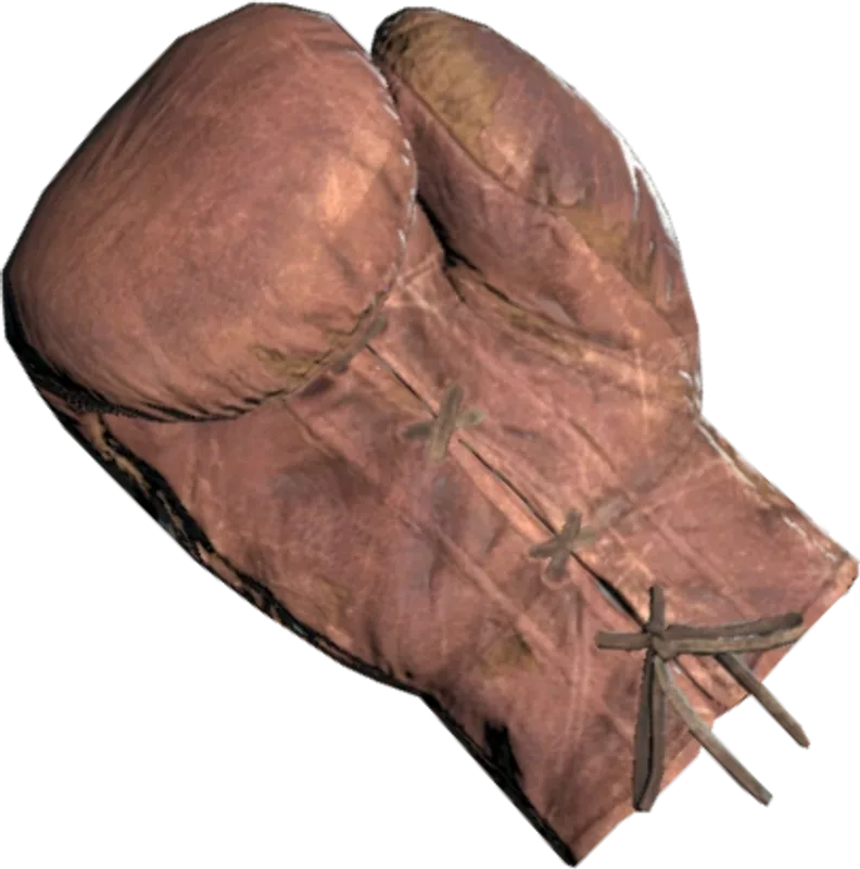 Boxing Glove